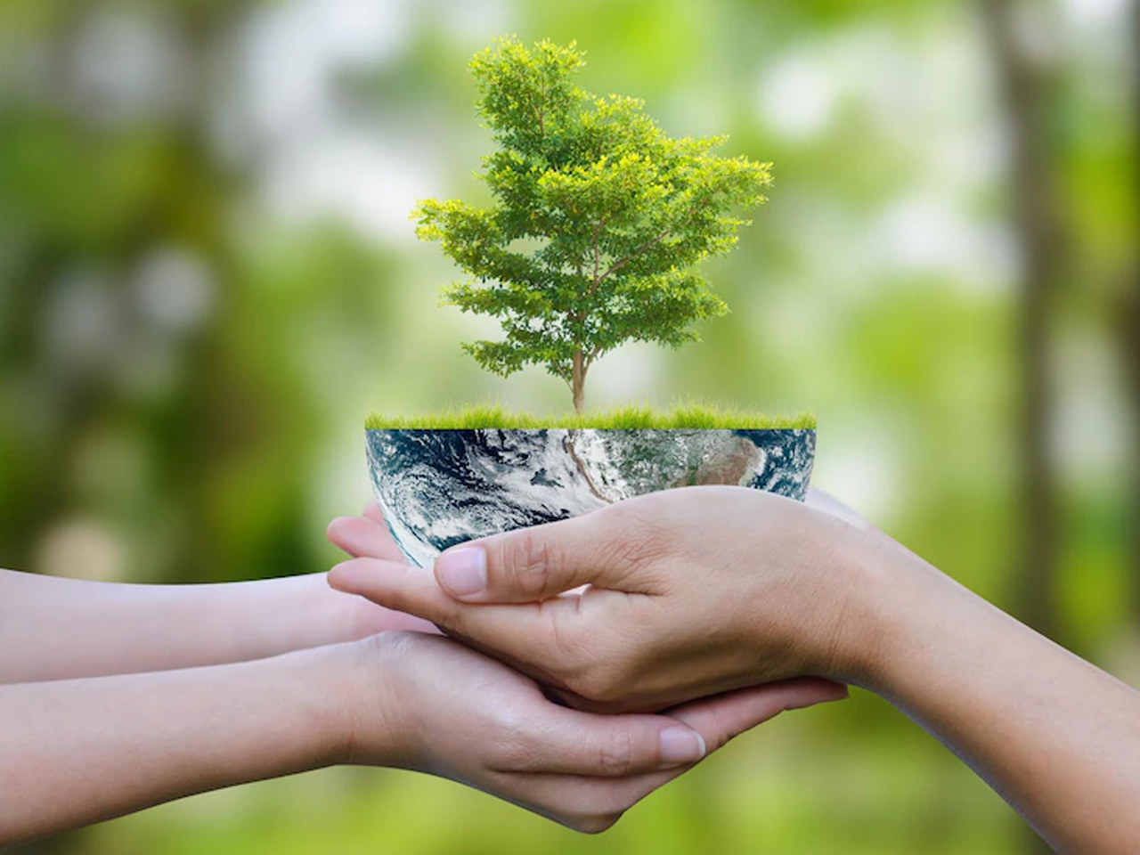 Sustainability Commitment